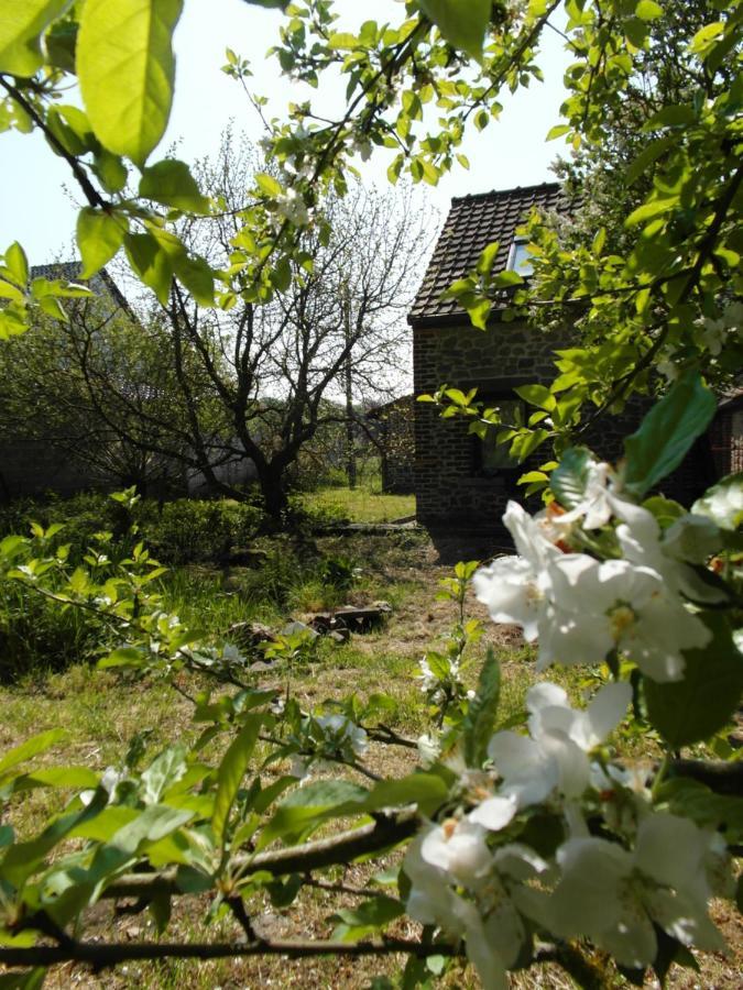 La Maison D'Aldegonde Beloeil Zewnętrze zdjęcie